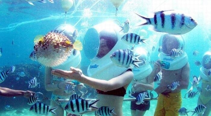 TOUR CÙ LAO CHÀM ĐÓN TẠI CẢNG CỬA ĐẠI