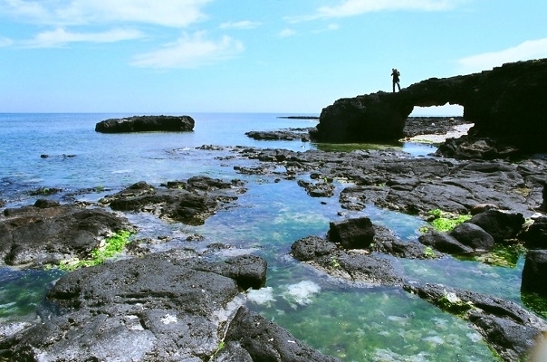 TOUR LÝ SƠN 2N1Đ ĐÓN TỪ CHU LAI