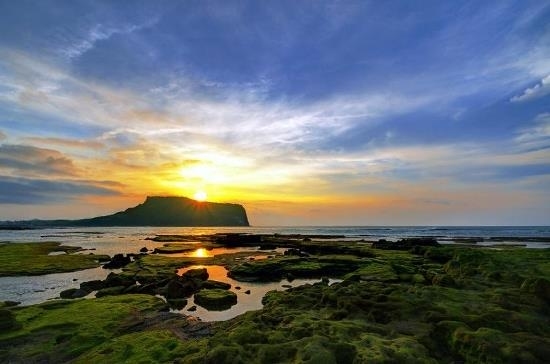 TOUR JEJU GIÁ RẺ
